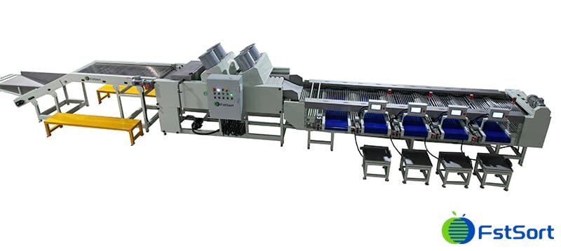 images/1701330609585cherry tomato sorting packing machine.jpg
